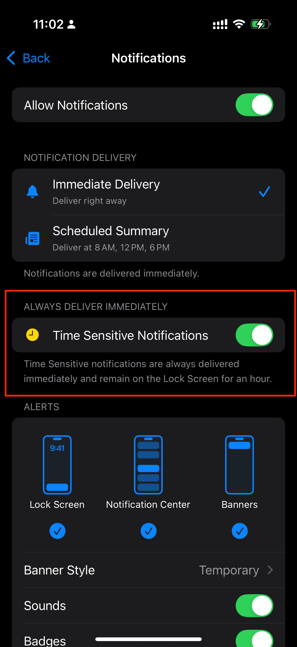 Time Sensitive Notificaitons Permission in App